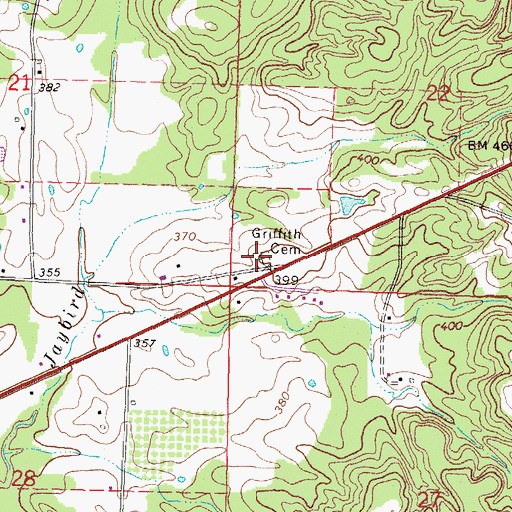 Topographic Map of Griffith Cemetery, MS