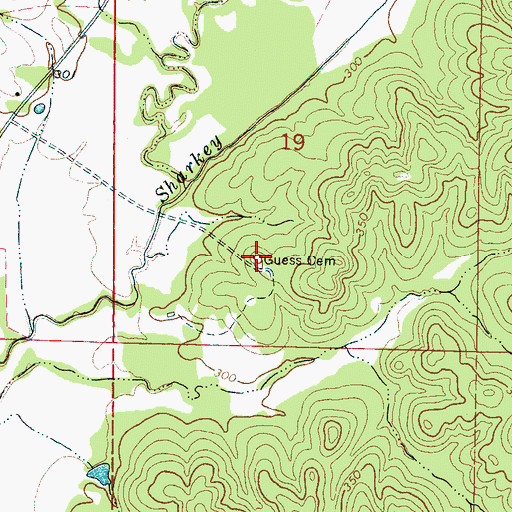 Topographic Map of Guess Cemetery, MS