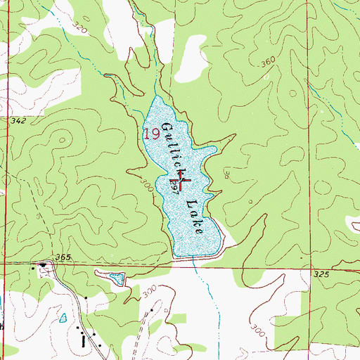 Topographic Map of Gullicks Lake, MS