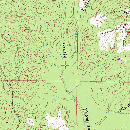 Topographic Map of Gully Branch, MS