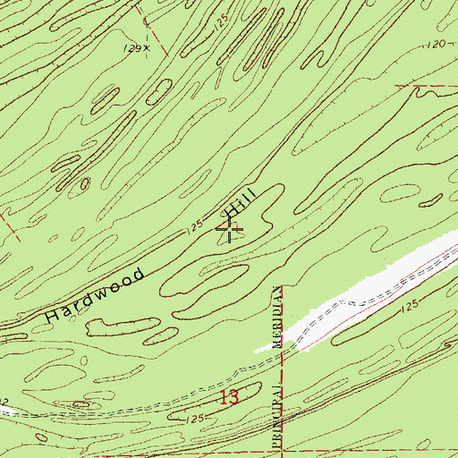 Topographic Map of Hardwood Hill, MS
