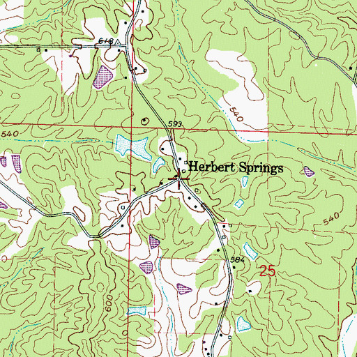 Topographic Map of Herbert Springs, MS