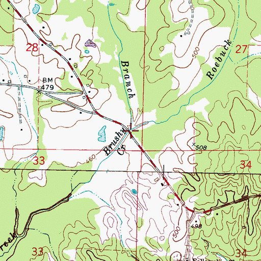 Topographic Map of Hog Branch, MS