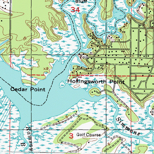Topographic Map of Hollingsworth Point, MS