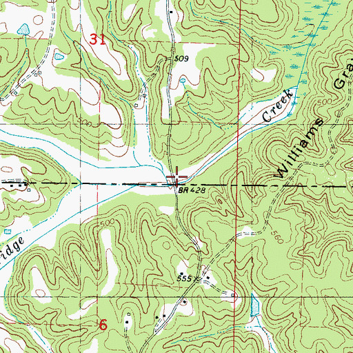 Topographic Map of Holly Branch, MS
