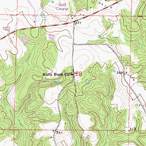 Topographic Map of Holly Bush Church, MS