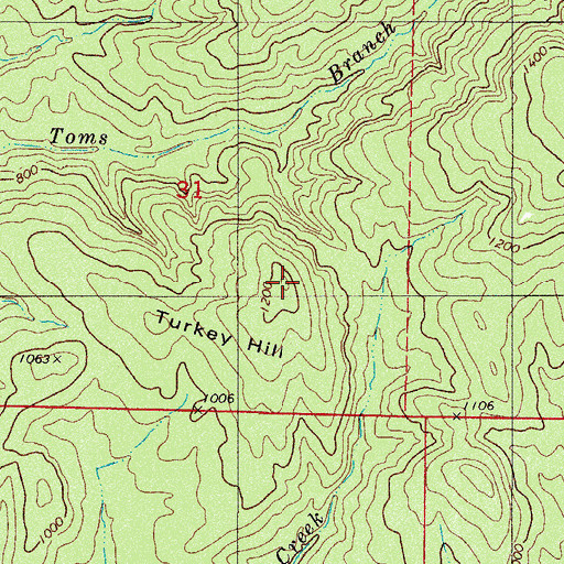 Topographic Map of Turkey Hill, AR