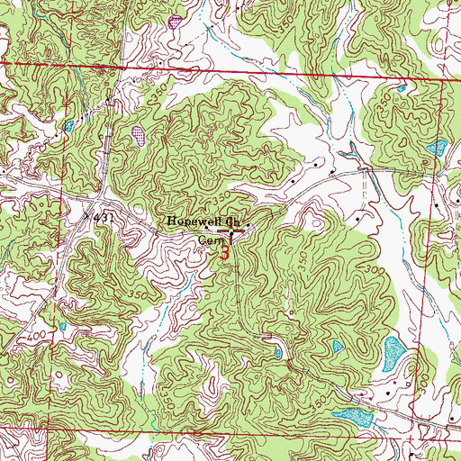 Topographic Map of Hopewell Church, MS