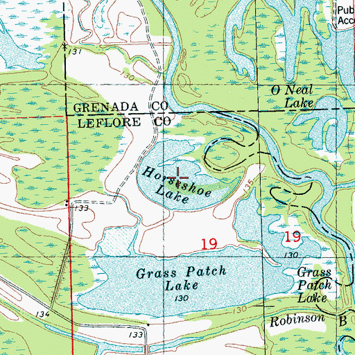 Topographic Map of Horseshoe Lake, MS