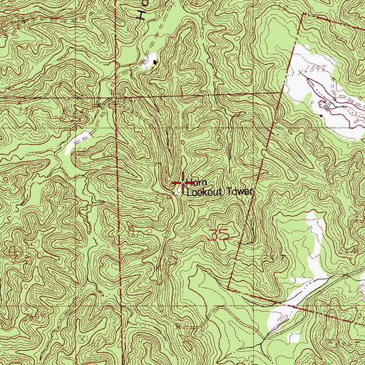 Topographic Map of Horn Lookout Tower, AR