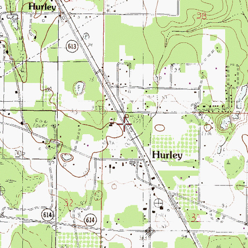 Topographic Map of Hurley, MS