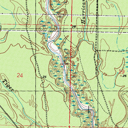 Topographic Map of Hurricane Branch, MS