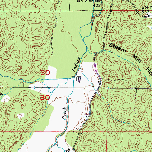 Topographic Map of Hurricane Branch, MS