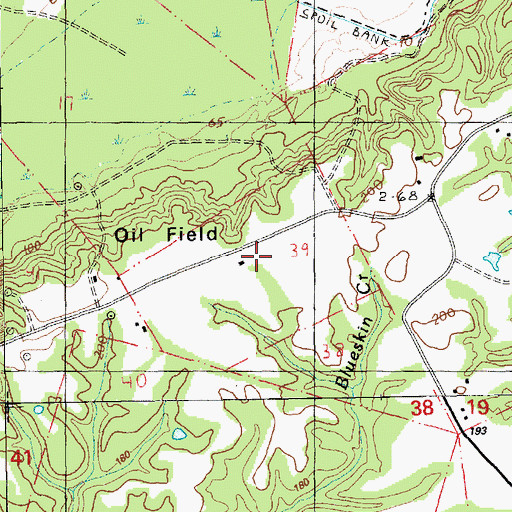 Topographic Map of Idlewild Oil Field, MS
