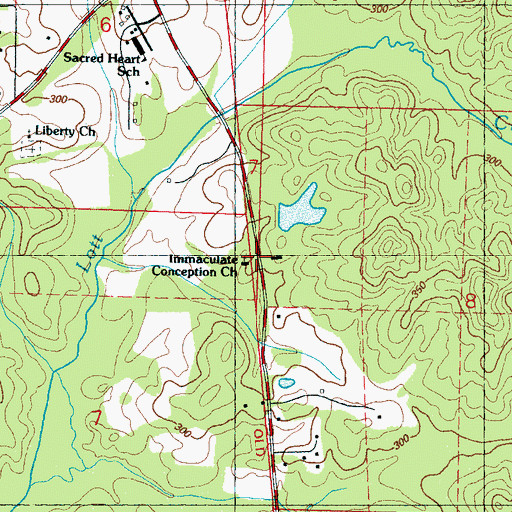 Topographic Map of Immaculate Conception Church, MS