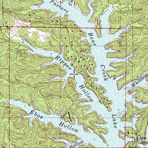 Topographic Map of Ripper Hollow, AR