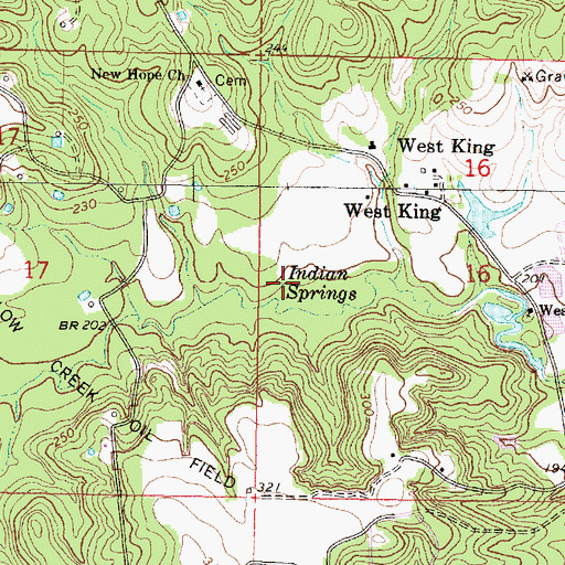 Topographic Map of Indian Springs, MS