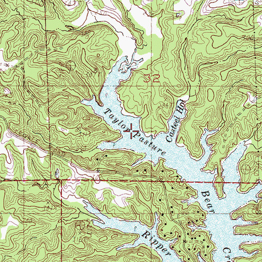 Topographic Map of Taylor Pasture, AR