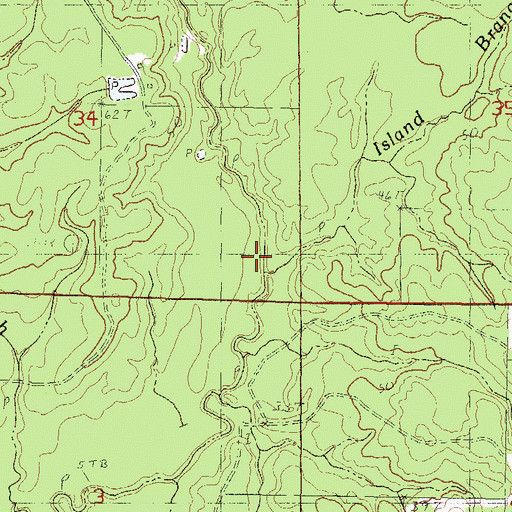Topographic Map of Island Branch, MS
