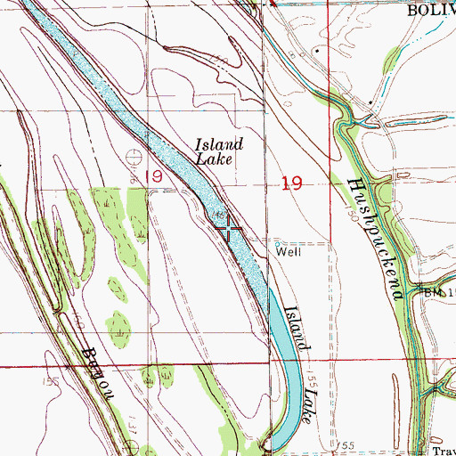 Topographic Map of Island Lake, MS