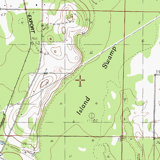 Topographic Map of Island Swamp, MS