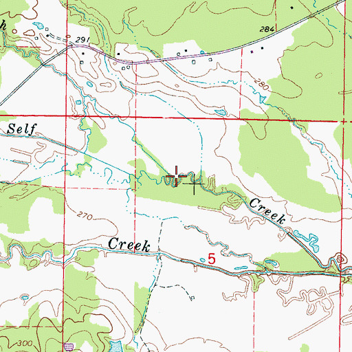 Topographic Map of Jackson Branch, MS