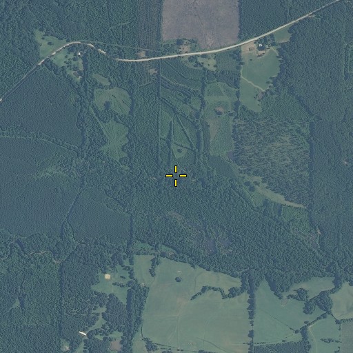 Aerial/Satellite Image of Jackson Branch, MS