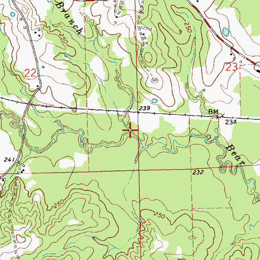 Topographic Map of Johnson Branch, MS