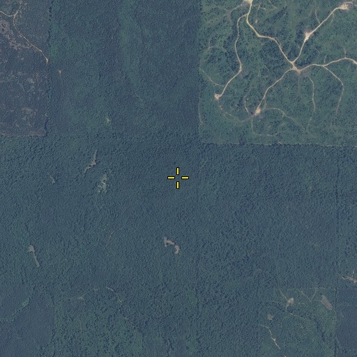 Aerial/Satellite Image of Kitchen Mountain, MS