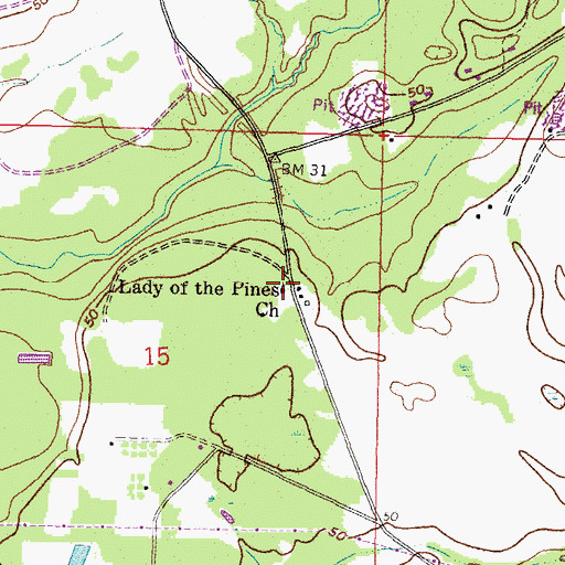 Topographic Map of Lady of the Pines Church, MS