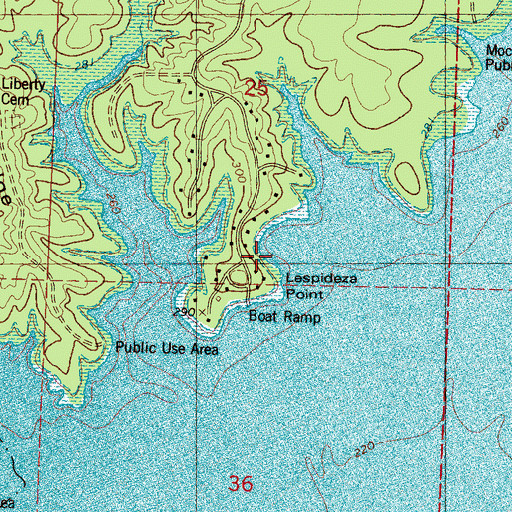 Topographic Map of Lespideza Point, MS