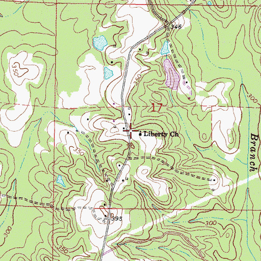 Topographic Map of Liberty Church, MS