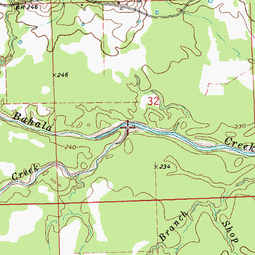 Topographic Map of Little Bahala Creek, MS