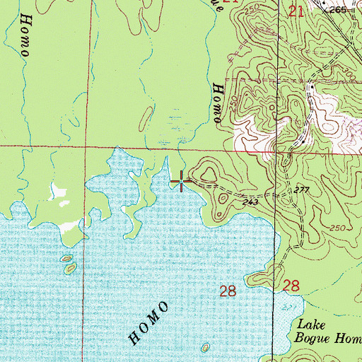 Topographic Map of Little Bogue Homo, MS