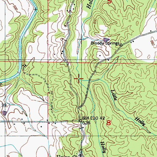 Topographic Map of Little Holly Branch, MS