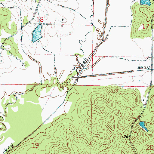Topographic Map of Little Sharkey Creek, MS