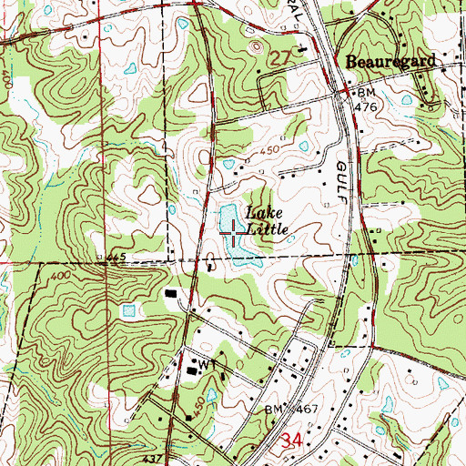 Topographic Map of Lake Little, MS