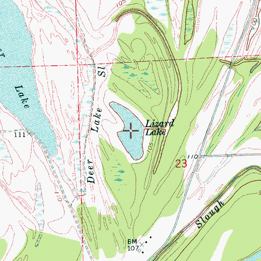 Topographic Map of Lizard Lake, MS