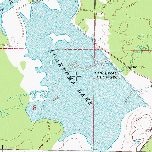 Topographic Map of Loakfoma Lake, MS