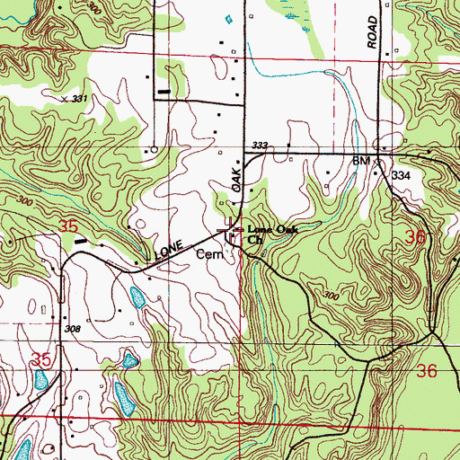 Topographic Map of Lone Oak Church, MS