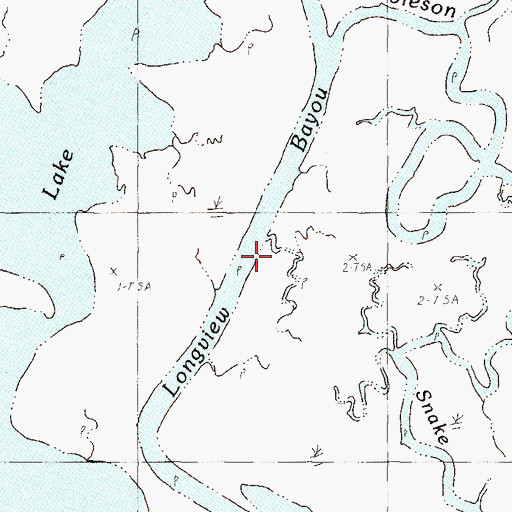Topographic Map of Longview Bayou, MS