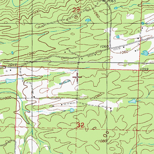 Topographic Map of Rowell School (historical), AR
