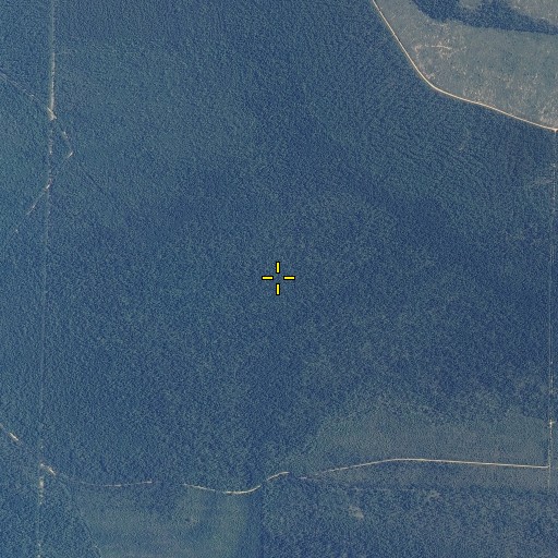 Aerial/Satellite Image of Lower Devils Swamp, MS