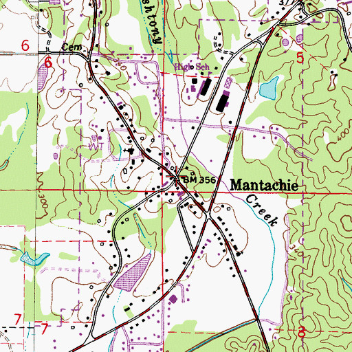 Topographic Map of Mantachie, MS