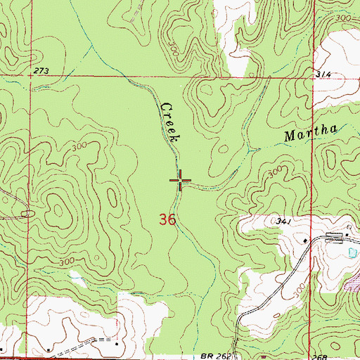 Topographic Map of Martha Holland Branch, MS