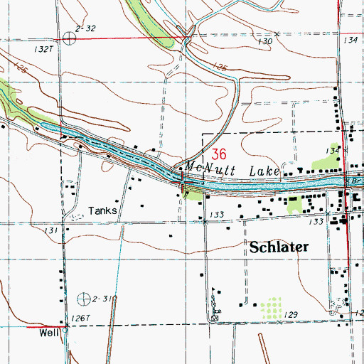 Topographic Map of McNutt Lake, MS