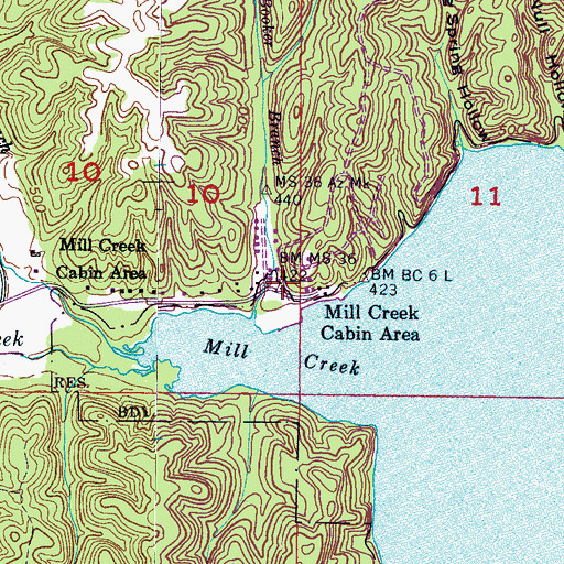 Topographic Map of Mill Creek Cabin Area, MS