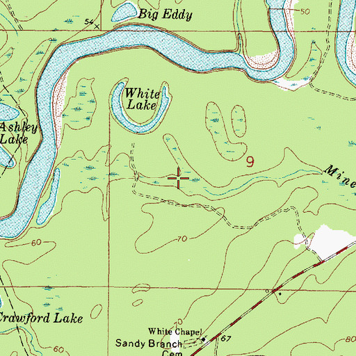Topographic Map of Mineral Branch, MS