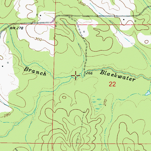 Topographic Map of Mineral Springs Branch, MS