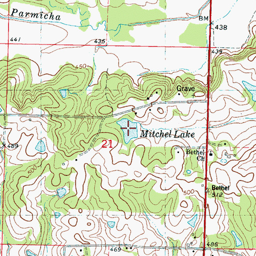 Topographic Map of Mitchel Lake, MS
